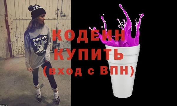 индика Покачи
