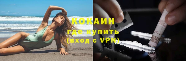индика Покачи