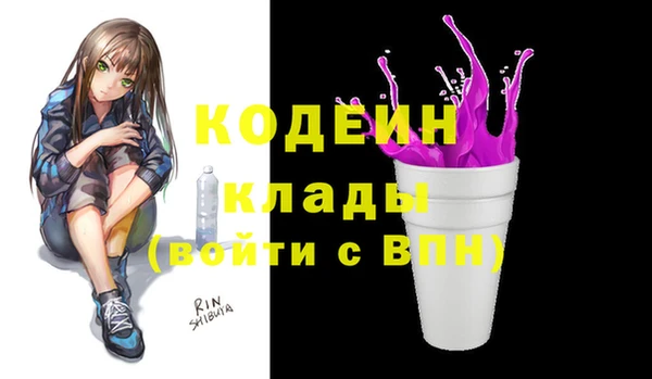 индика Покачи