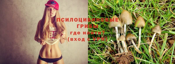 СК Покровск