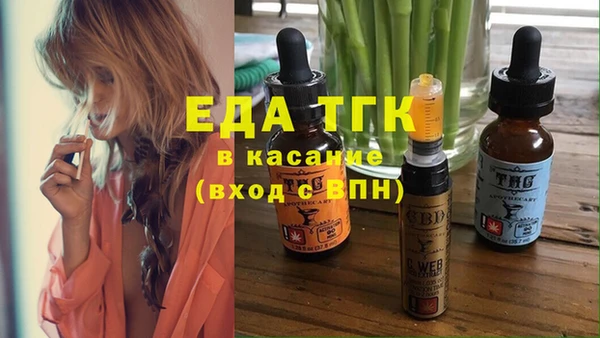 индика Покачи