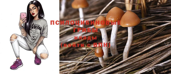 СК Покровск