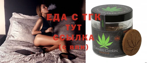 индика Покачи