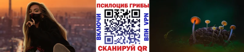 где найти   Ржев  MEGA ТОР  Галлюциногенные грибы GOLDEN TEACHER 