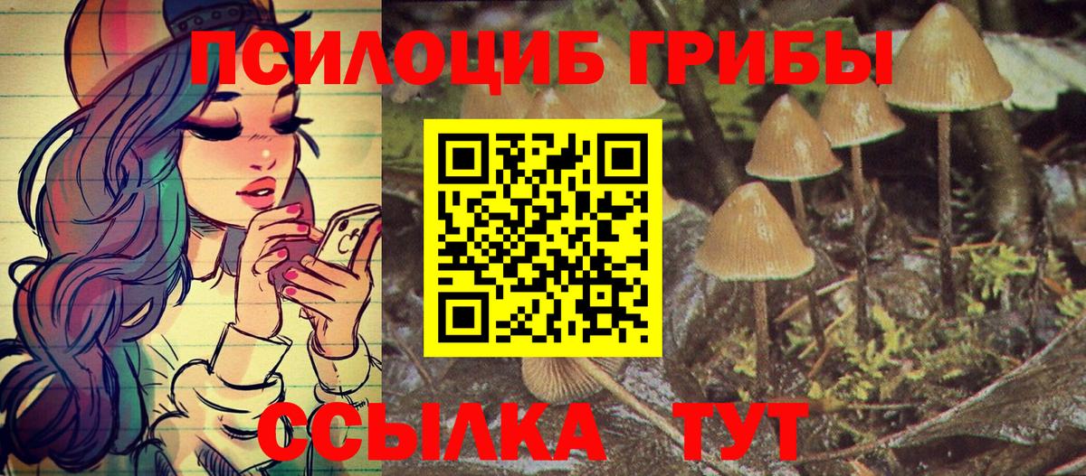 Ржев  Галлюциногенные грибы MAGIC MUSHROOMS  Псилоцибиновые грибы Psilocybe  Вход с VPN 